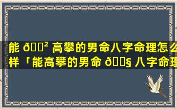 能 🌲 高攀的男命八字命理怎么样「能高攀的男命 🐧 八字命理怎么样呢」